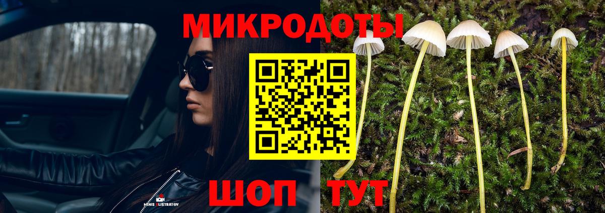 Галлюциногенные грибы мухоморы Ревда