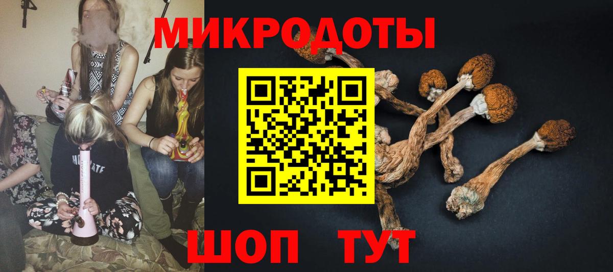 Ревда  купить наркотики сайты  Вход с VPN  Галлюциногенные грибы прущие грибы 